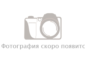 51 этаж - 205 м<sup>2</sup>